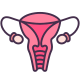 Ovary icon