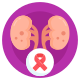 Kidneys icon