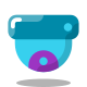 Dome Camera icon