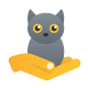 chaton icon