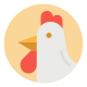 Chicken icon