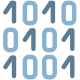 Binary icon