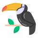 Toucan icon