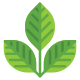 Leaves icon