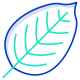 Beech Leaf icon