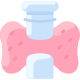 Thyroid Gland icon