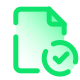 Verifica File icon