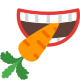 mordendo uma cenoura icon