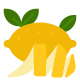 Citron icon