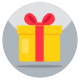 Gift Box icon