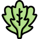 Arugula icon