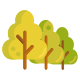 Woods icon