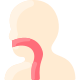 Esophagus icon