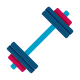 Barbell icon