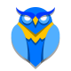 Owl icon