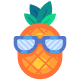 Pineapple Sunglasses icon