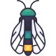 Cicada icon