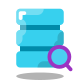 Search Database icon