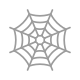 Spider Web icon