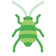 Aphid icon