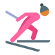クロスカントリー スキー スキン タイプ 3 icon