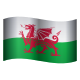 威尔士表情符号 icon