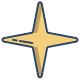 4 Point Star icon