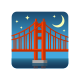Мост ночью icon