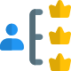 Crown premium ranking team structure of an organisation icon