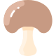 Fungo icon