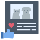 Pet Channel icon