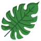 Palm Leaf icon