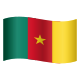 emoji del Camerun icon