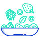 Berries icon