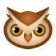 Owl icon