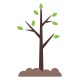 árbol en crecimiento icon