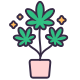 Cannabis icon