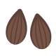 Almond icon