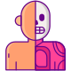 Anatomy icon