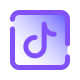 TikTok icon