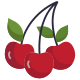 Berry icon