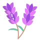 Lavender icon