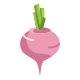 Beetroot icon