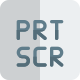 PRT SCR for a screenshot capture function key icon