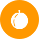 Fruit icon