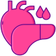 Organs icon