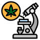 大麻叶 icon