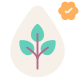 Paraben Free icon