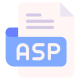 Asp icon