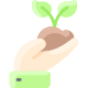 Sprout icon